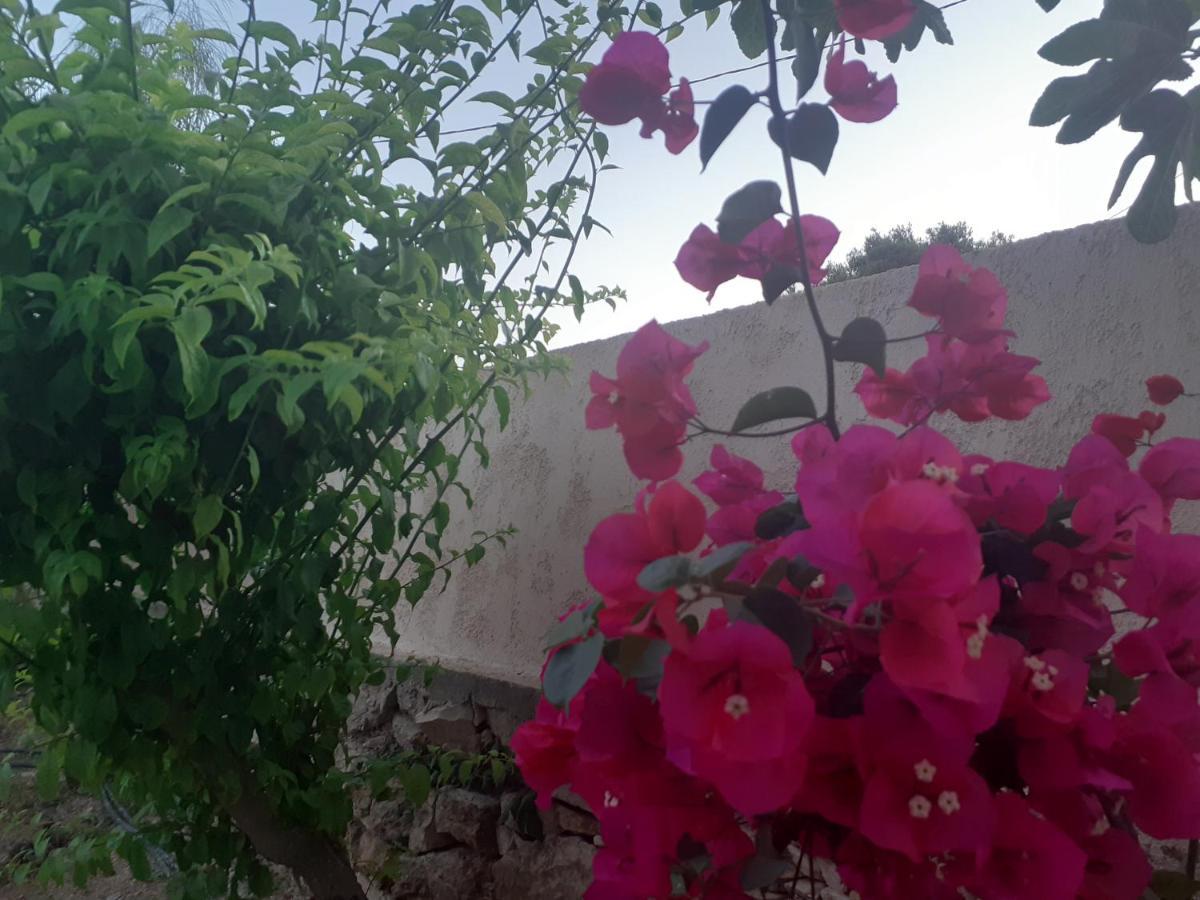 Masticha Village Apartments & Studios Monolia Luaran gambar